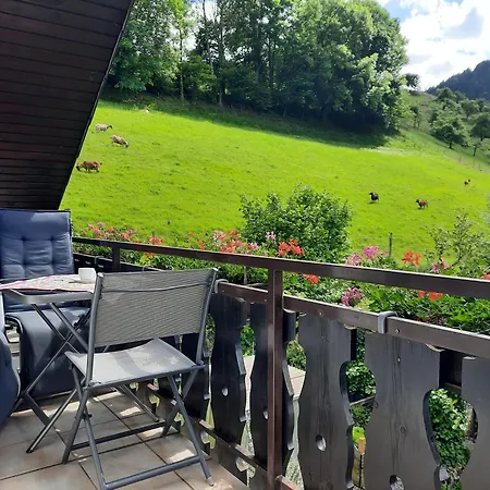 Haus Huber Daire Wolfach